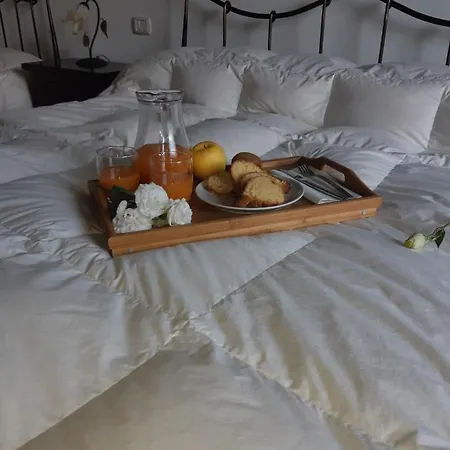 Diffuso Hotel Quaglietta
